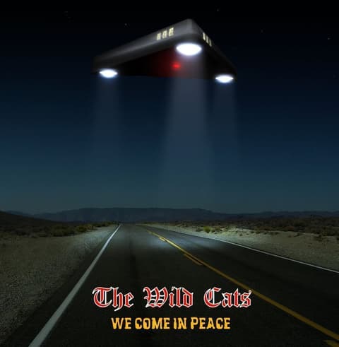 LP The Wild Cats - We come in peace
