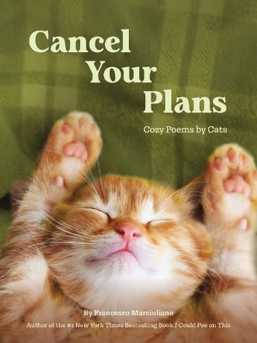 Cancel Your Plans: Cozy Poems by Cats