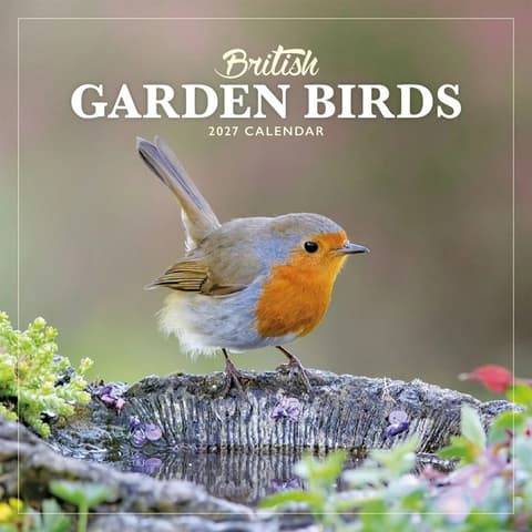 Kalender 2027 British Garden Birds Mini