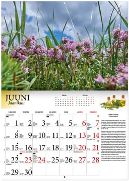 RAVIMTAIMED 2026, A4, klamberköide