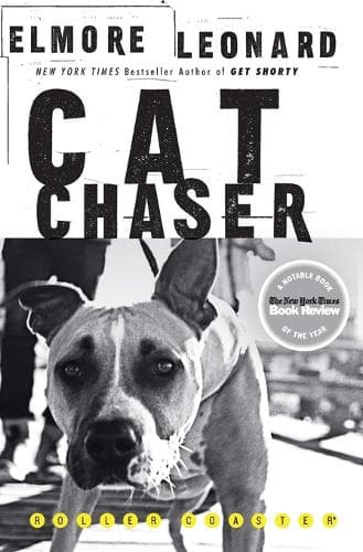 Cat Chaser