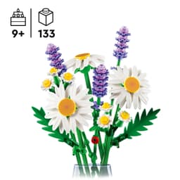 LEGO Botanicals Karikakrad