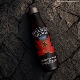 Veepudel Stranger Thinks - The Rise of Vecna