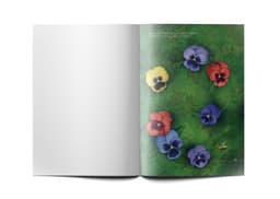 Mudilasvihik. Lõikevihik