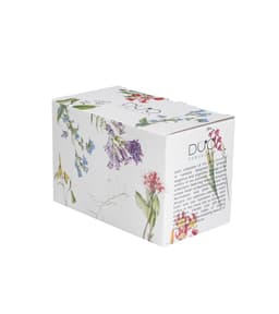 Suhkrutoos ja koorekann COLORS OF NATURE