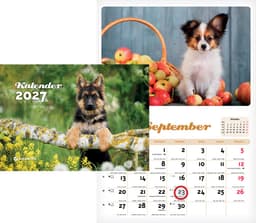 2027 Kutsukalender, avatuna 240 x 330mm, klamberköide
