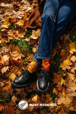 Many Mornings sokid  THE SQUIRRELS-43-46