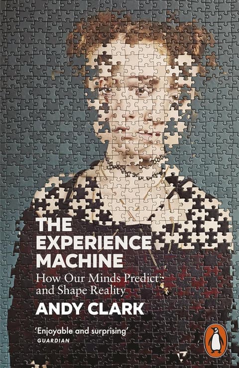 The Experience Machine. How Our Minds Predict and Shape Reality