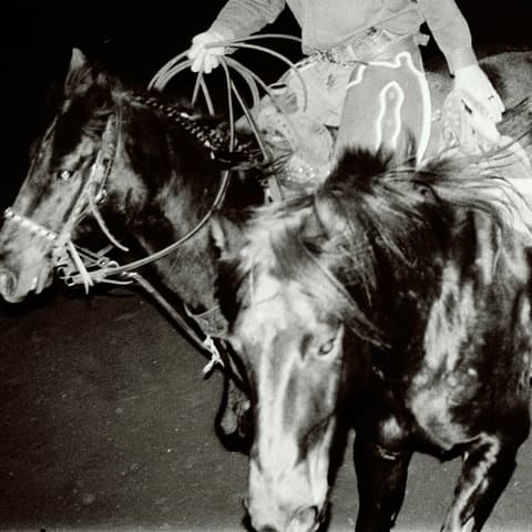 CD Holy Motors - Heaven´s Night