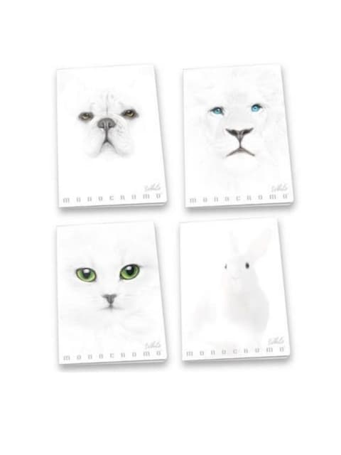 Kaustik Pigna A4 38lk joon Momocromo White