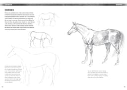 The Complete Guide to Drawing: Essential Skills for Every Artist