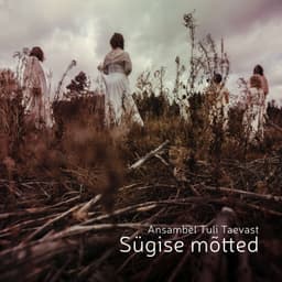 Tuli Taevast - Sügise mõtted CD