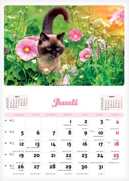 2027 Kiisu kalender