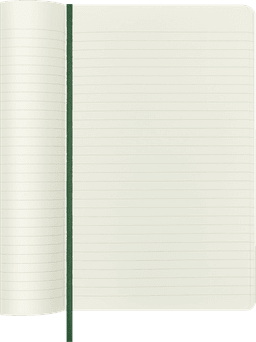 Moleskine jooneline märkmik large size
