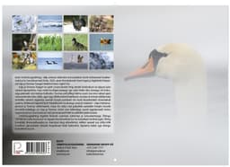 LINNUKALENDER 2026, A4, klamberköide