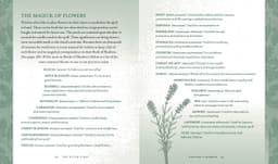 The Witch´s Way : A Guide to Modern-Day Spellcraft, Nature Magick, and Divination