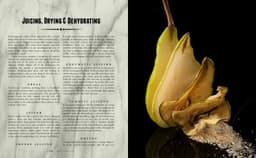 The Curious Bartender Volume 1 : The Artistry and Alchemy of Creating the Perfect Cocktail