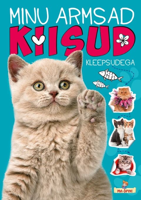 Minu armsad kiisud. Ma õpin!