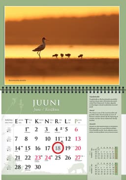 2027 Remo Savisaare kalender