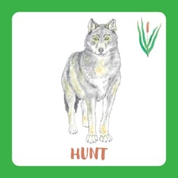 Mis mu nimi on? Pildikaartidega mäng