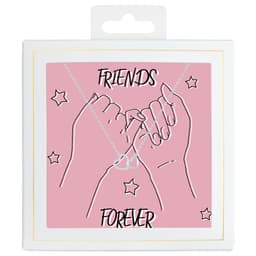 Sõnumikaart Kaelakee "Friends forever"