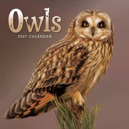 Kalender 2027 Owls Mini