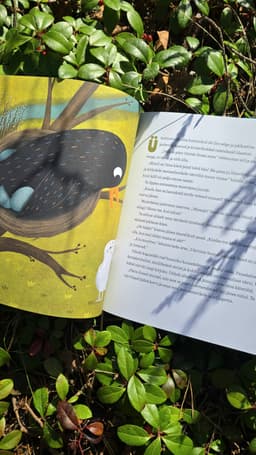 Kuidas metsas pühi peeti