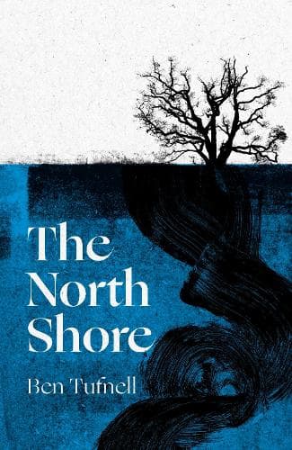 The North Shore: a stunning gothic debut