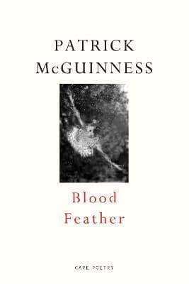 Blood Feather: ‘He writes with Proustian élan and Nabokovian delight’ John Banville