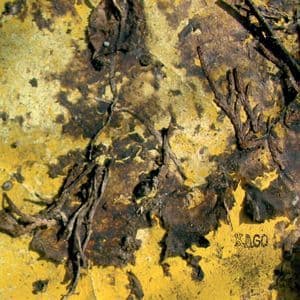 Kago - Mopskassi maja