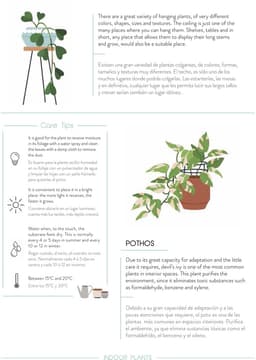 Urban Jungle: Plant Care Journal