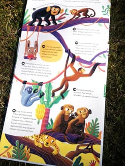 Samm-sammult. Küsimused ja vastused. Loomad