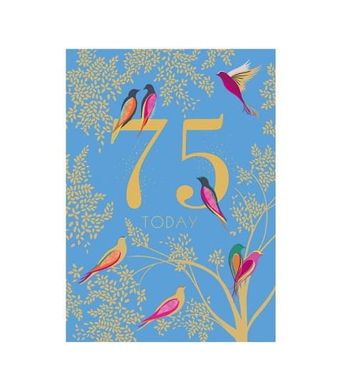 KUKU Kaart SM Helesinine 75