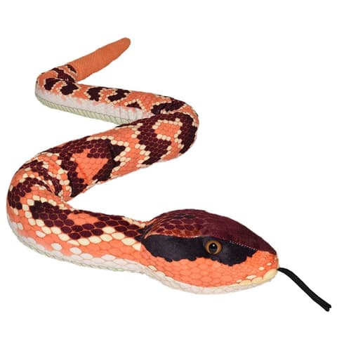 Pehme vee-kilplõugmadu 137 cm