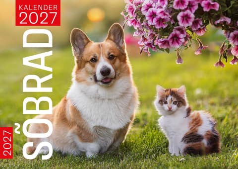 2027 Parimad sõbrad kalender 297x210