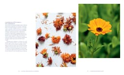 Natural Skincare For All Seasons