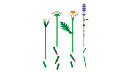 LEGO Botanicals Karikakrad
