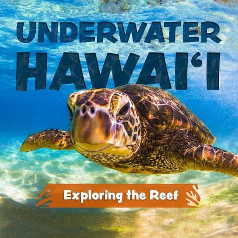 Underwater Hawai´i: Exploring The Reef: A Children´s Picture Book about Hawai´i