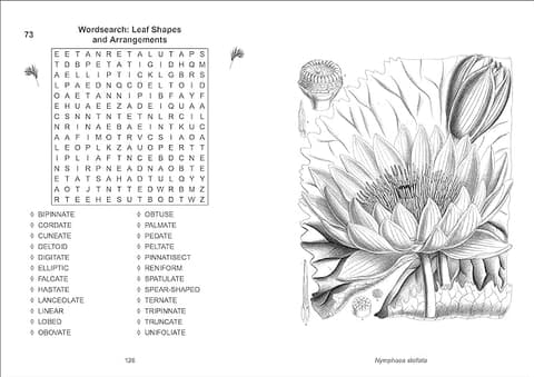The Kew Gardens Calming Puzzles Collection