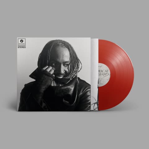 LP Thundercat - Distracted (Red Vinyl)