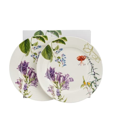 Desserdi taldrikud COLORS OF NATURE