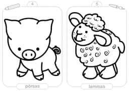 Mulle meeldib värvida. Tüdrukutele