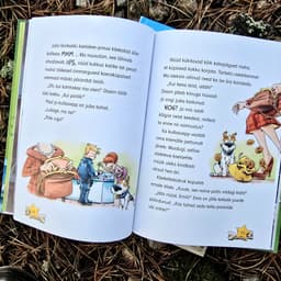 Komissar Käpp. Kadunud kaelakee