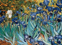 Pusle 1000 tk Irises by Vincent van Gogh