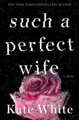 Such a Perfect Wife: A Bailey Weggins Mystery