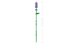 LEGO Botanicals Karikakrad