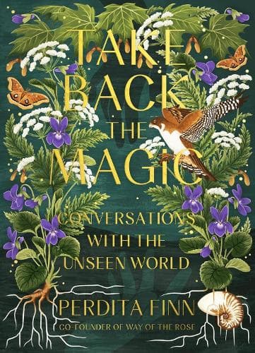 Take Back the Magic: Conversations with the Unseen World