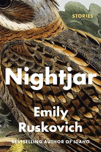 Nightjar: Stories