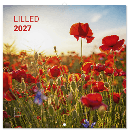 LILLEKALENDER 2027, ruut, klamberköide