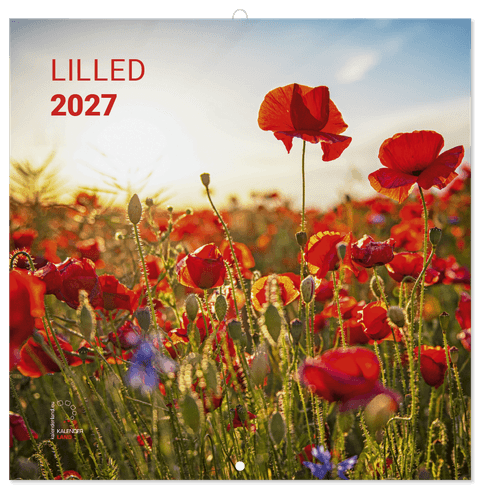 LILLEKALENDER 2027, ruut, klamberköide